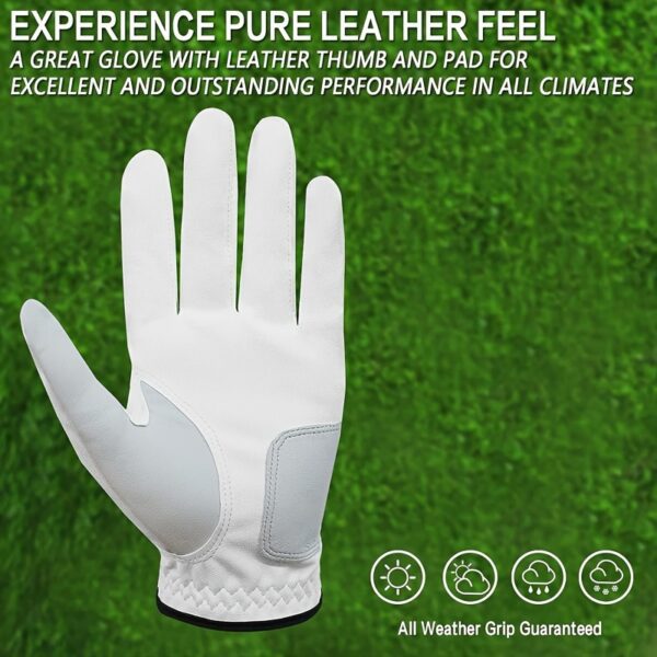 Product fancy 282b8c4b fabd 4634 a5b0 8144dbdc6690
