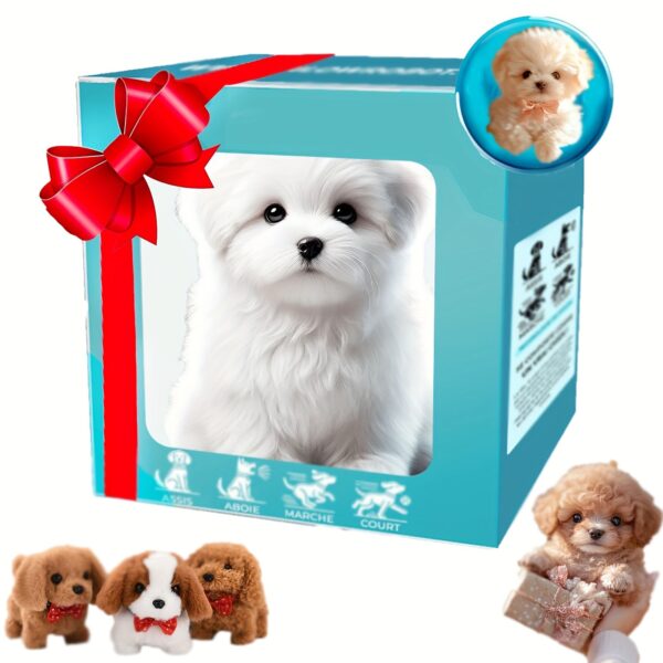 Product fancy ad15dc9f 45be 4418 84bf 7466d6556d56