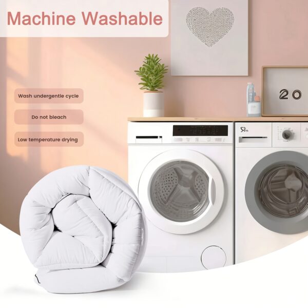 Product fancy c2e382ec 0cd4 4a5a 8e9f 5f97fa9cf1da