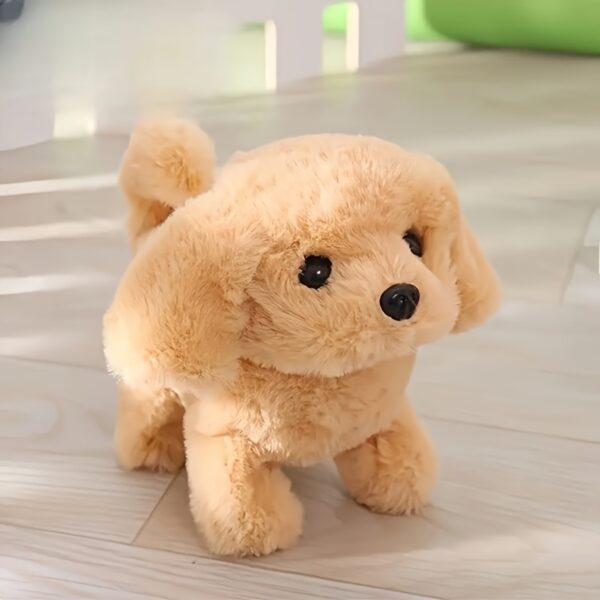 Product fancy e7777153 f116 4413 8a43 8b9a036d58f4