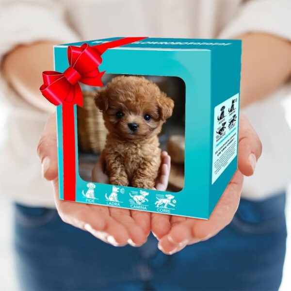 Product open c0c3da0830364cdfb2036afc7f91a974 goods