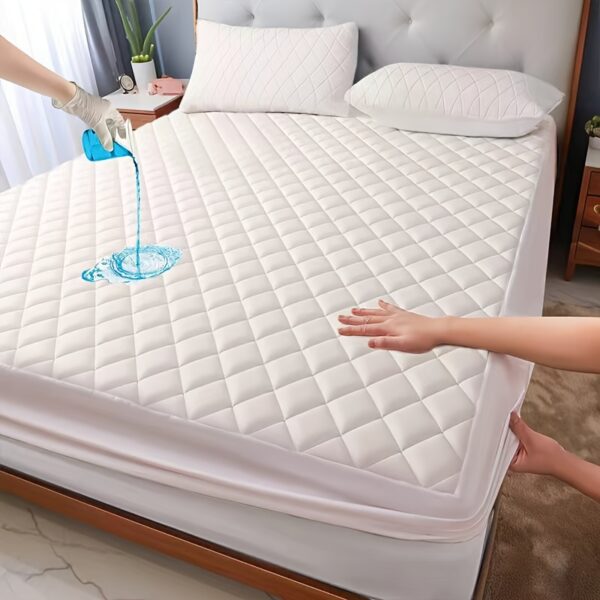 Product fancy 021fc8fc 4410 4d49 baf3 f52767fb6fc0
