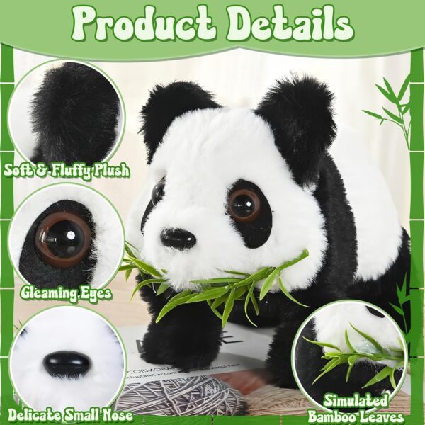 Product fancy 6d85b399 315f 48e3 81fd f20209cf8874